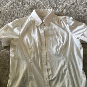 White collar work shirt